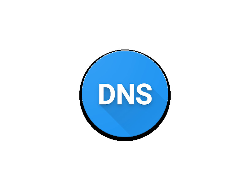 DNS Tool